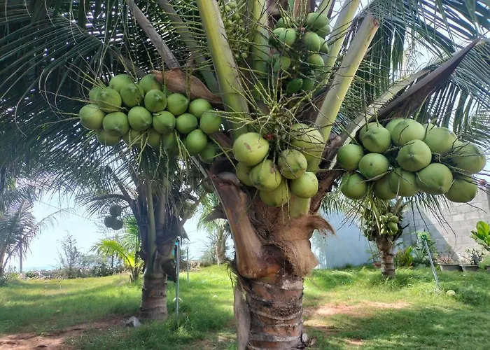 Курортный комплекс Bien Ngoc Homstay